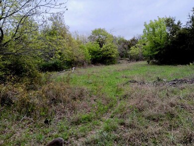 185 Lelon Ln, Springtown, TX 76082 - photo 4