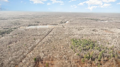 0 S County Line Rd unit 50195278, Shepherd, MI 48883 - photo 6