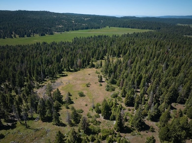 1160 Hyatt Prairie Rd, Ashland, OR 97520 - photo 6