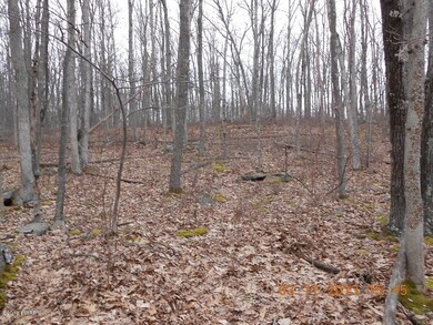 0 Lakefront Dr, Paupack Township, PA 18428 - photo 6