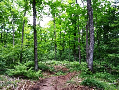 Tea Lake Rd, Crandon, WI 54520 - photo 6