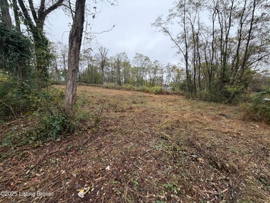 28 Freesia Ct, Brandenburg, KY 40108 - photo 7