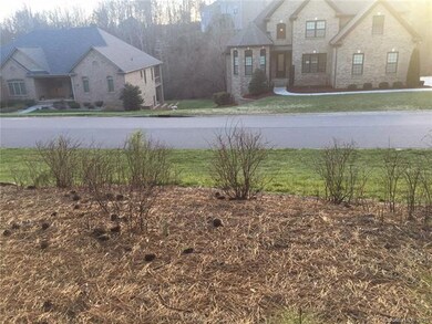 0 Mt Carmel Cir unit 61 3154794, Denver, NC 28037 - photo 4