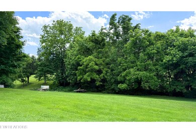 BACK YARD 2