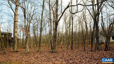 105 Den Tree Ln unit SHAMOKIN SPRINGS LOT, Roseland, VA 22967 - photo 4