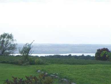 View Distant View of Seneca Lake