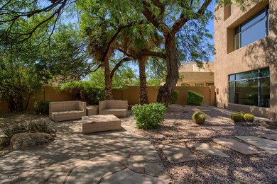 Tranquil Backyard