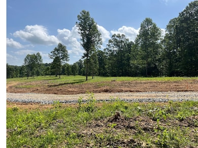 10898 Back Piney Rd, Bon Aqua, TN 37025 - photo 2