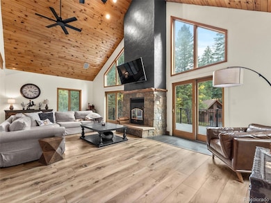 9459 S Turkey Creek Rd, Morrison, CO 80465 - photo 4