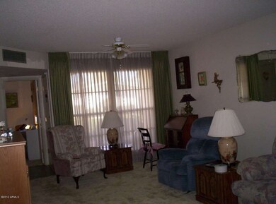 10725 W Santa fe Dr, Sun City, AZ 85351 - photo 6