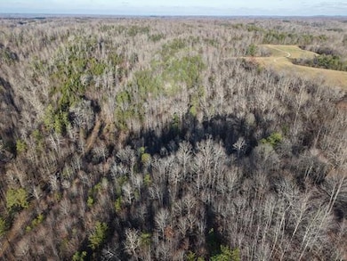 0 Delvinta Rd, Booneville, KY 41311 - photo 3