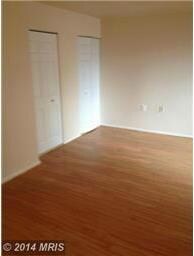 5794 Village Green Dr unit 3/579, Alexandria, VA 22309 - photo 6