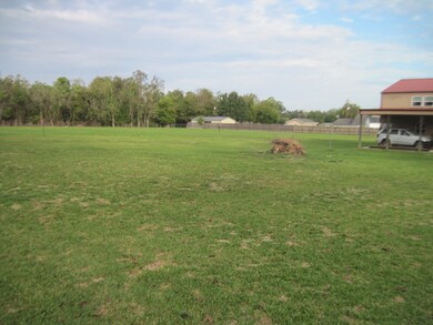 217 High St, Brazoria, TX 77422 - photo 5