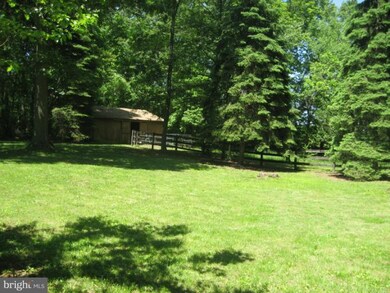 1172 Russell Rd, Berryville, VA 22611 - photo 4