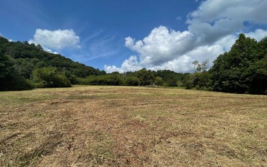Additional View