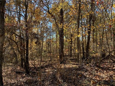 Lot 4 Wendler Ln, Bella Vista, AR 72715 - photo 2