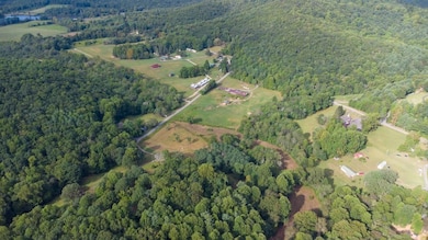 Tr 3 Glenn Elliot Rd, Dahlonega, GA 30533 - photo 5