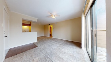 Spare room with ceiling fan, carpet floors, basebo