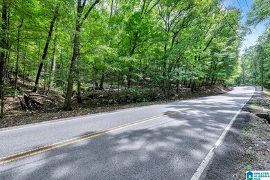 6722 Wesson Cir unit 4, Pinson, AL 35126 - photo 7