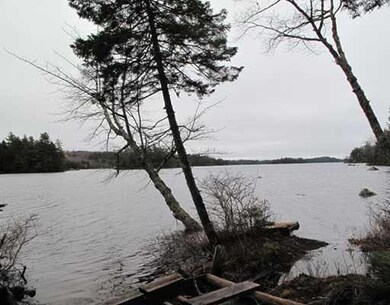 View.
