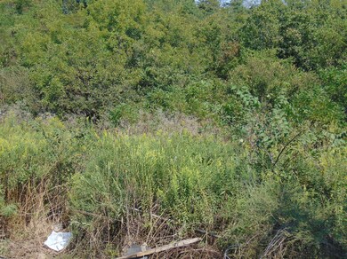 245 Huffman Rd, Harrodsburg, KY 40330 - photo 6