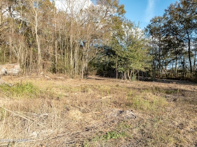 133 Lavan St, Elton, LA 70532 - photo 6