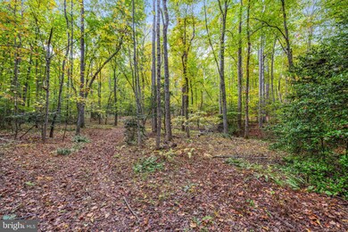 0 Dreamland Rd unit B VACU2006336, Jeffersonton, VA 22724 - photo 7