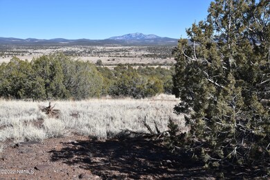 30219004b N Francis Ln, Ash Fork, AZ 86320 - photo 3