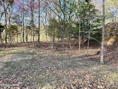 0 Catoosa Drive & Kahiti Ct unit 1321706, Mooresburg, TN 37811 - photo 5