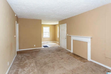 340 Mcpherson Ave, Birmingham, AL 35228 - photo 4