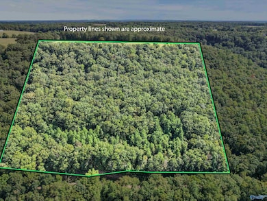 15 Shin Point Rd, New Hope, AL 35760 - photo 5