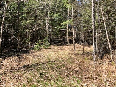 0 Hardy Hill Rd, Lebanon, NH 03766 - photo 2