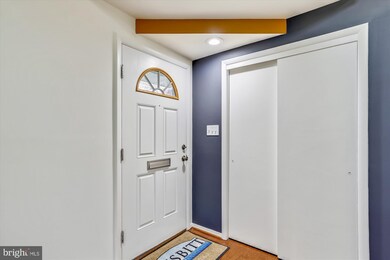 8516 Doyle Dr, Alexandria, VA 22308 - photo 3