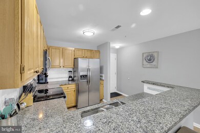 Sanibel Village unit 3410, Rehoboth Beach, DE 19971 - photo 6