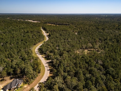 186 Exploration Rd, New Waverly, TX 77358 - photo 2