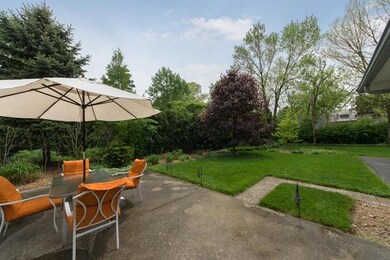 From Patio into Backyard