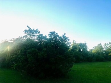 0 Bellingrath Rd unit 7560719, Theodore, AL 36582 - photo 2