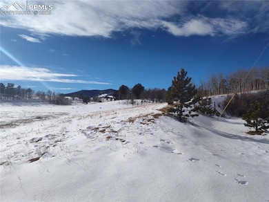 29 Hidden Valley Dr, Florissant, CO 80816 - photo 2