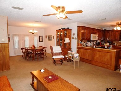 10927 County Road 2219, Tyler, TX 75707 - photo 5