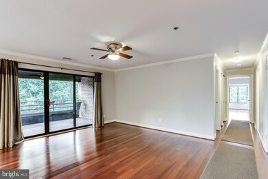 3 Southerly Ct unit 502, Towson, MD 21286 - photo 5