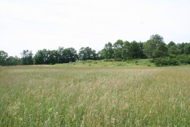 0 Daniels Rd, Honesdale, PA 18431 - photo 6