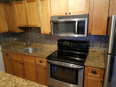 4180 N Marine Dr unit 601, Chicago, IL 60613 - photo 3