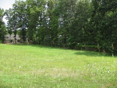 Looking to back edge of lot