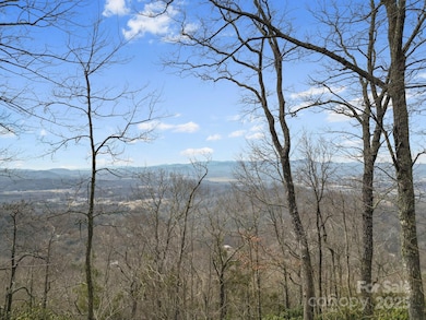 Lot 65 Featherstone Dr unit 65, Fletcher, NC 28732 - photo 5