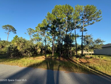 2925 Polaris Ave SE, Palm Bay, FL 32909 - photo 4