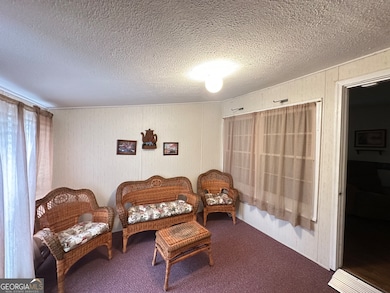 17 2nd St, McRae-helena, GA 31037 - photo 5