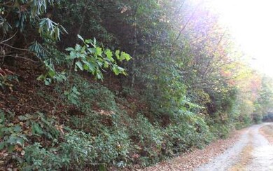 5.25 Clay Cir, Morganton, GA 30560 - photo 4