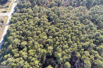 0 Saint Patrick St, St. Marys, GA 31558 - photo 4