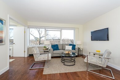 Hammond Park Condominiums unit 603, Chestnut Hill, MA 02467 - photo 6