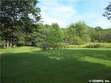 Yard/Garden